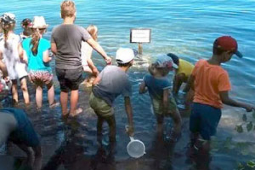 Gärtnern für Alle e.V.